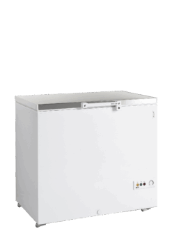 Congelador para helados FR305S SL